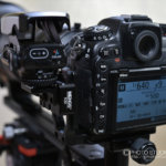 1歩先行くバードフォトテク！ＡＦ設定Nikon編<br><b>【ＡＦロックオン設定】</b>