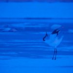 一緒にあいばせ撮影ツアー2019　イン　北海道