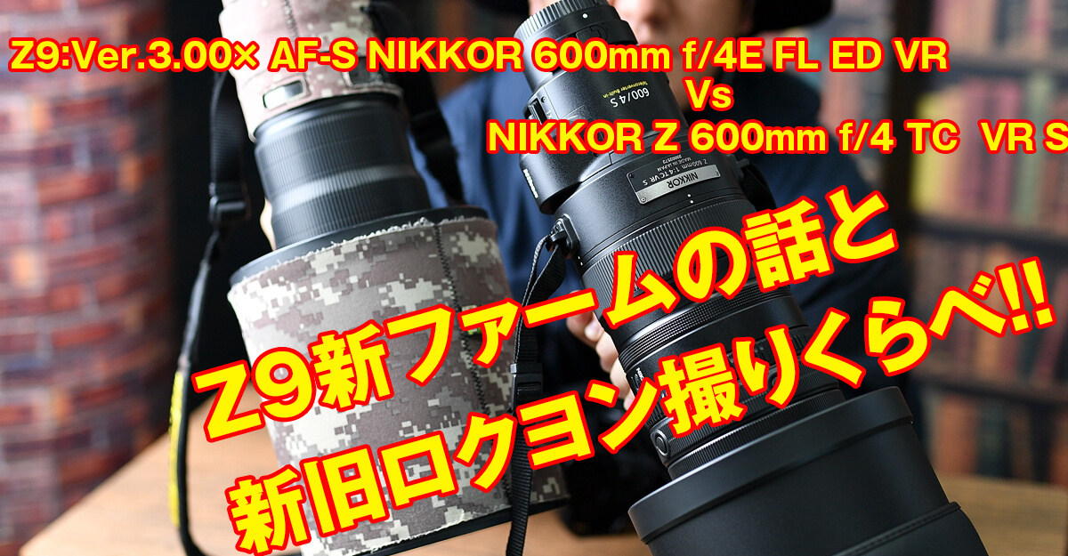 Z9新ファームと、新旧ロクヨン撮り比べてみた！Z9C:Ver.3.00 NIKKOR Z 