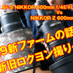 Z９新ファームと、新旧ロクヨン撮り比べてみた！Z9C:Ver.3.00　NIKKOR Z 600mm f/4 TC VR SとAF-S NIKKOR 600mm f/4E FL ED VR