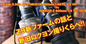 Z600mmF4,Nikon,オオタケカメラ