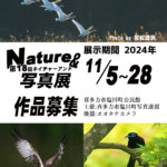 第18回ネイチャー&写真展作品募集のお知らせ