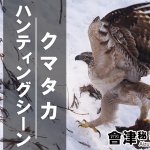 いよいよ明日からクマタカの撮影ガイド再開です＾＾　あと会津盆地内の交通状況