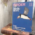 月間BIRDER6月号への掲載が決まりました！　