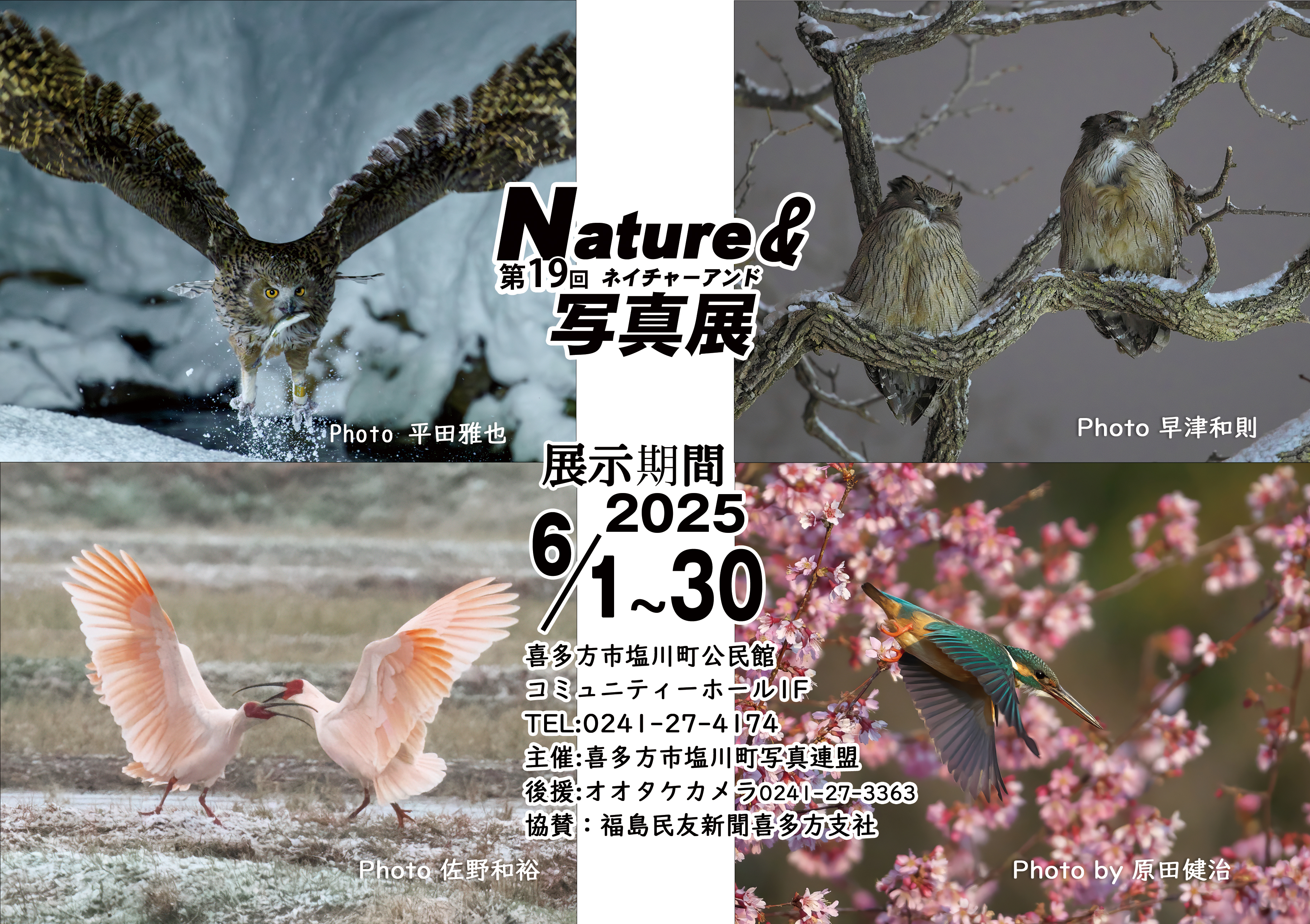 第19回 Nature＆写真展開催のお知らせ » 野鳥撮影ガイド｜オオタケカメラ