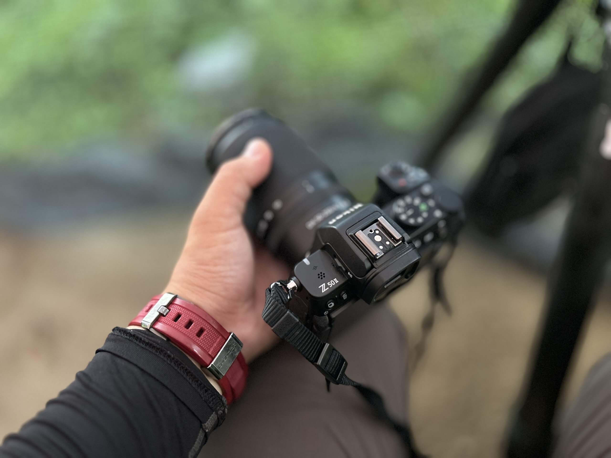 NikonZ50Ⅱと50-250mmで野鳥（ヤマセミ）を撮ってみた
