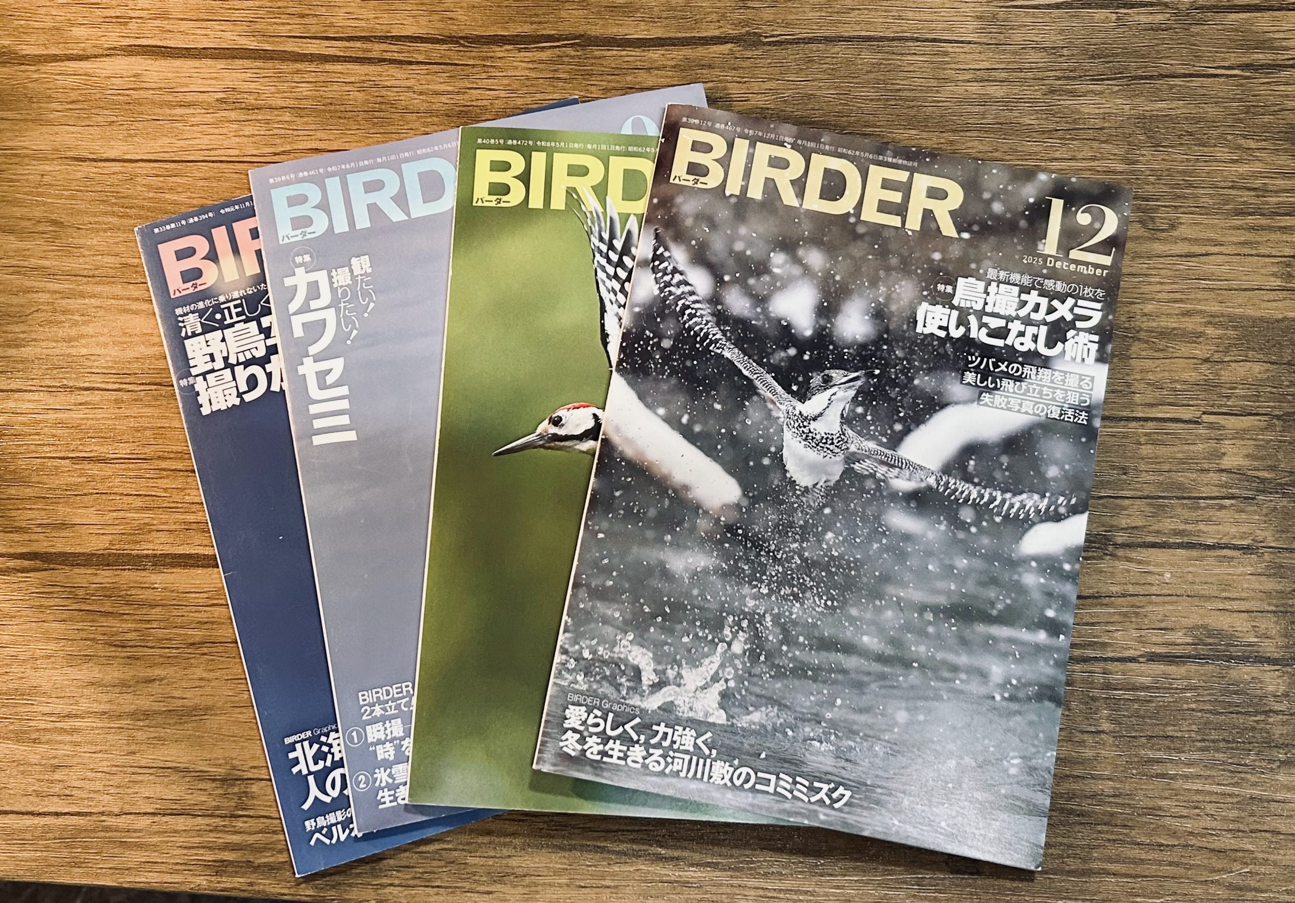 月刊BIRDER掲載実績